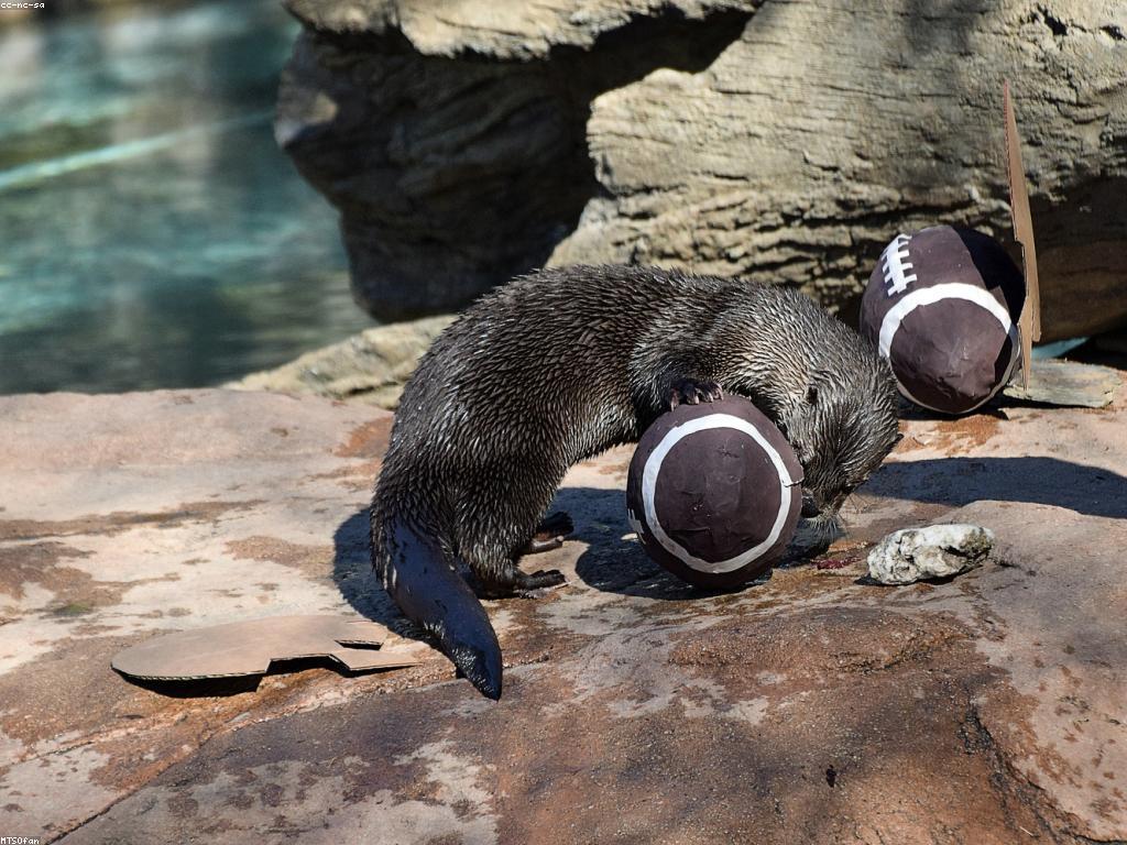 វិធីសាស្ត្រលេងសមស្របសម្រាប់កម្សាន្ត